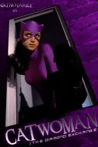 Catwoman: The Diamond Exchange_peliplat