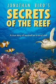 Secrets of the Reef_peliplat