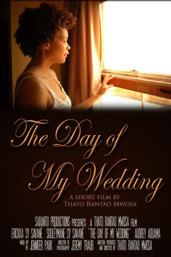 The Day of My Wedding_peliplat