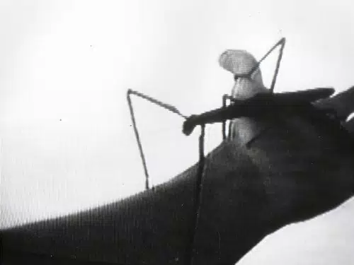 To See or Not to See