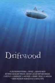 Driftwood_peliplat