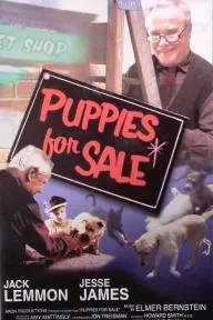 Puppies for Sale_peliplat