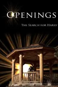 Openings: The Search for Harry_peliplat