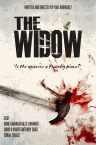 The Widow_peliplat