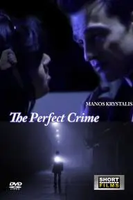 The Perfect Crime_peliplat