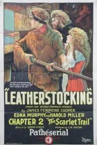 Leatherstocking_peliplat