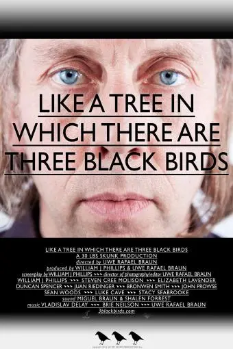 Like a Tree in Which There Are Three Black Birds_peliplat