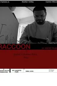 Raccoon_peliplat