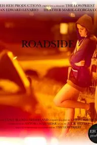 Roadside_peliplat