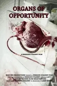 Organs of Opportunity_peliplat