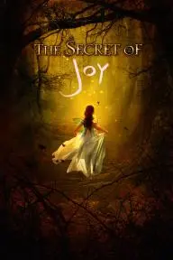 The Secret of Joy_peliplat