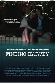 Finding Harvey_peliplat