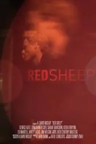 Red Sheep_peliplat