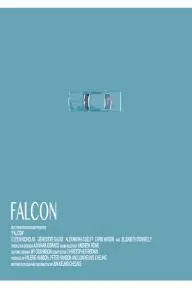 Falcon_peliplat