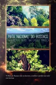 Mata Nacional do Bussaco: Património Vivo, Natureza Mágica_peliplat